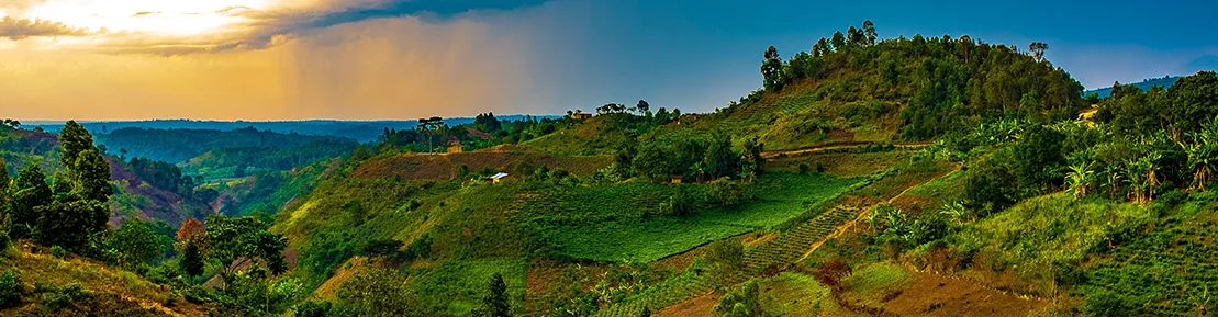 Wiza do Rwandy
