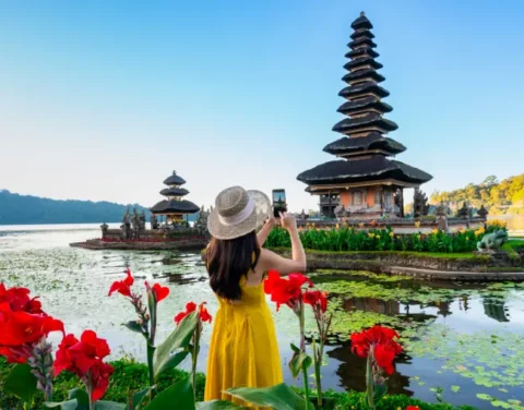 Indonesia visa for Indians - Apply for Indonesian e-VoA online