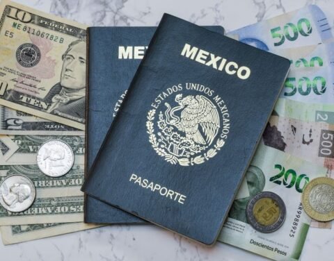 Mexican Passport Renewal